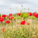 L'amigeste Nyaraló