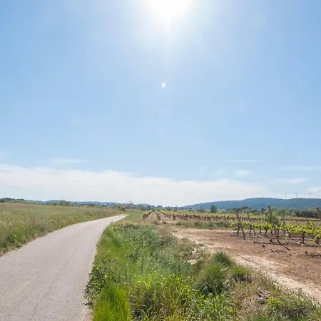 بيت للعطل L'amigeste Pouzols-Minervois